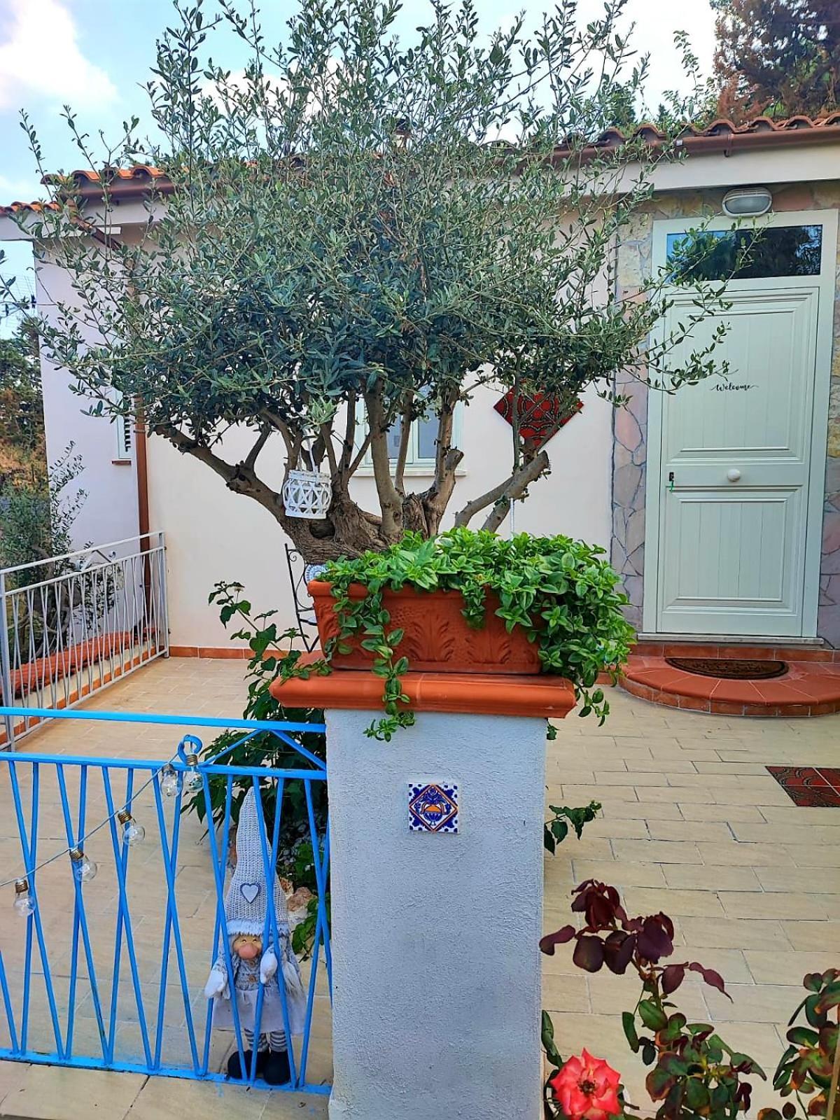 La Casetta Degli Ulivi Palermo Exterior photo